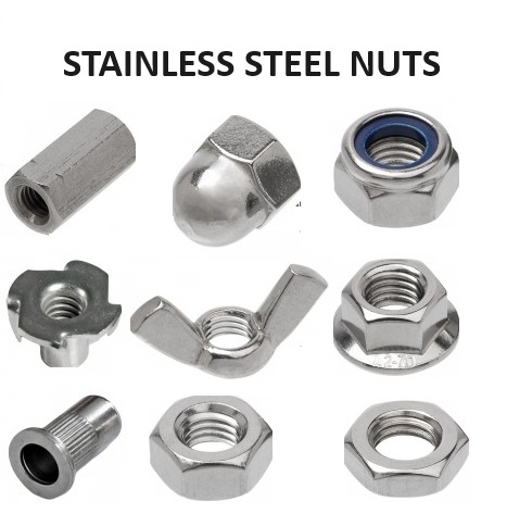 Stainless Steel Nuts